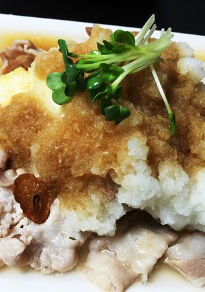 豚バラ大根おろしの豆腐ステーキ-レシピのメイン写真