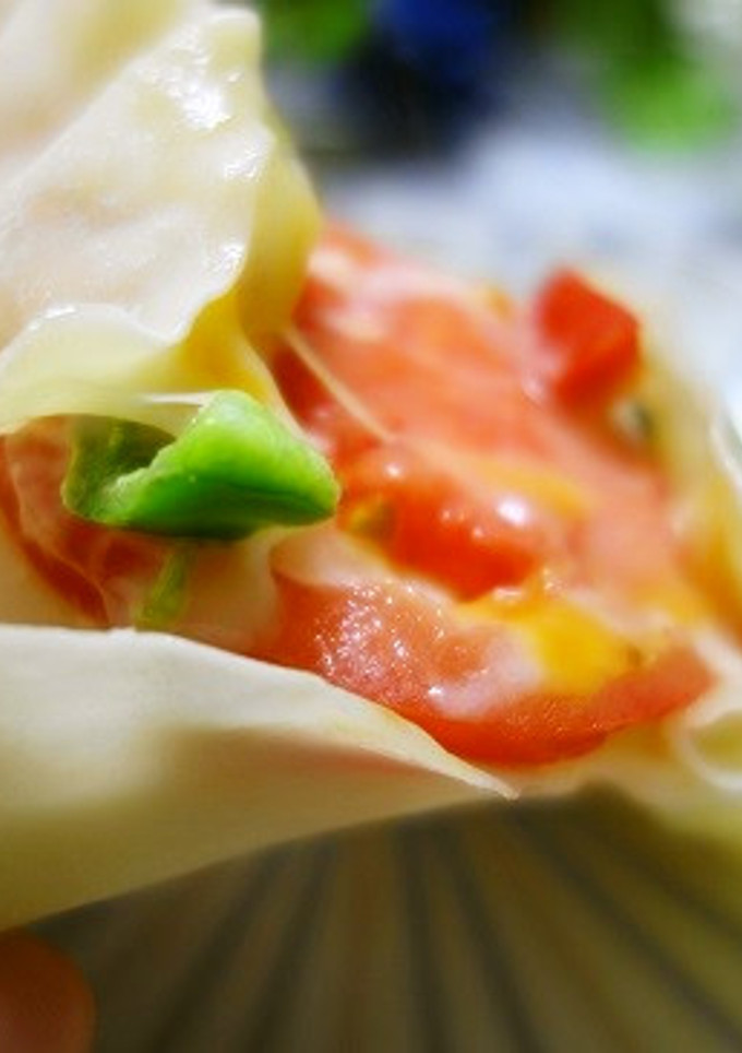 餅ピザ☆餃子の皮で簡単とろーりアツアツ♪-レシピのメイン写真