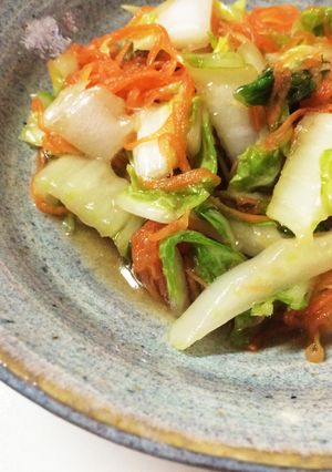 箸休め！常備菜！白菜と人参の甘酢漬け☆-レシピのメイン写真