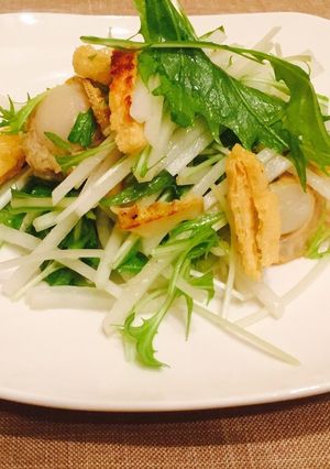 大根と水菜のレモンドレッシングサラダ-レシピのメイン写真