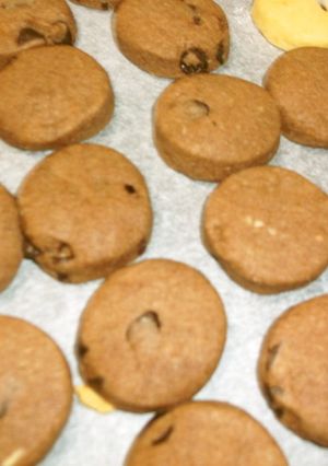 板チョコたっぷりココアクッキー★-レシピのメイン写真