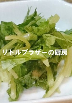 簡単余り物で作る　セロリの葉・茎の塩漬け-レシピのメイン写真