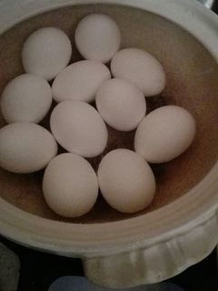 失敗するゆで卵-レシピのメイン写真