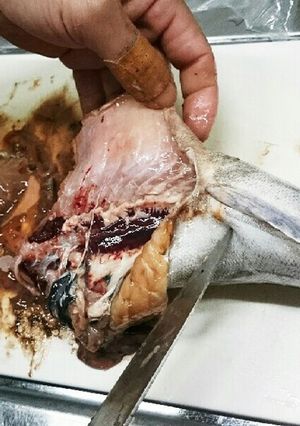 マグロ漁師流簡単タラの捌き方-レシピのメイン写真