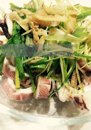 簡単！いかのネギソースがけ♡家族に好評！-レシピのメイン写真