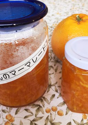 マーマレード（伊予柑で）-レシピのメイン写真