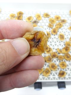 食品乾燥機で自家製ドライフルーツ作り-レシピのメイン写真