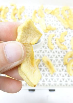 ドライアップルの作り方(食品乾燥機)-レシピのメイン写真
