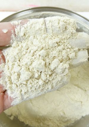 微粉砕機で作る栗粉(マロンパウダー)-レシピのメイン写真