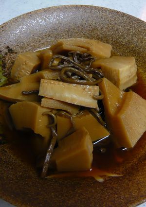春のスペシャル☆タケノコとぜんまいの煮物-レシピのメイン写真