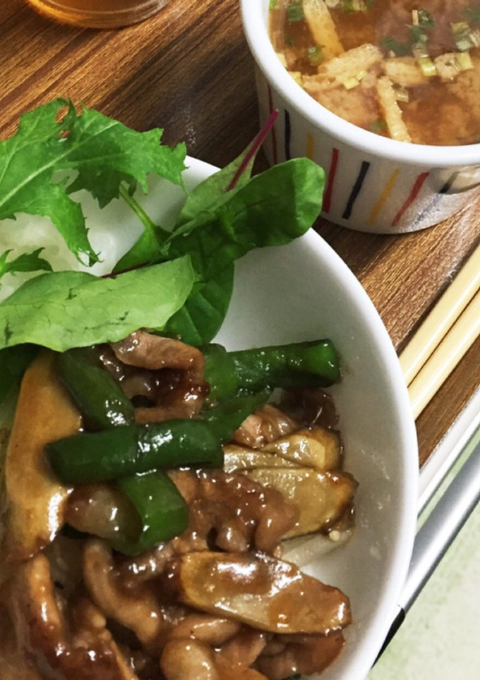 ごはんがすすむ！豚肉とゴボウの甘辛炒め-レシピのメイン写真