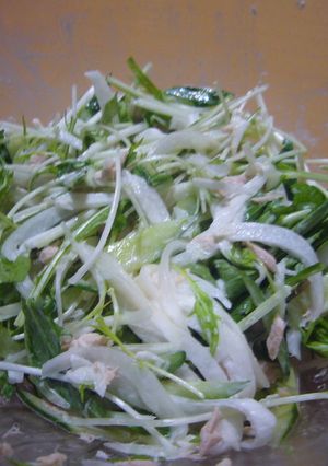 水菜のサラダ-レシピのメイン写真