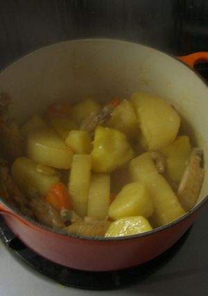 手羽中と根菜の煮物-レシピのメイン写真