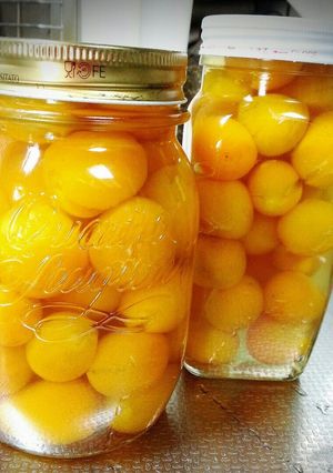 喉にも優しい！キンカンの甘露煮。-レシピのメイン写真