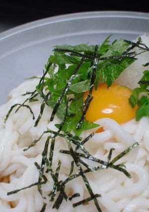 おろしうどん☆-レシピのメイン写真