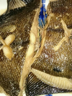 簡単なカレイ煮込み-レシピのメイン写真
