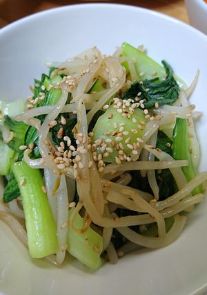 節約おつまみ☺チンゲン菜＆モヤシナムル-レシピのメイン写真