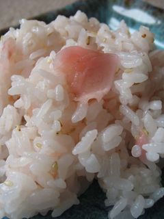 ガリde酢めし-レシピのメイン写真