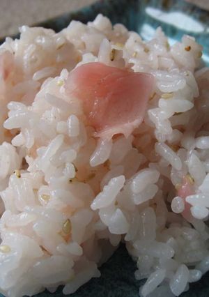 ガリde酢めし-レシピのメイン写真