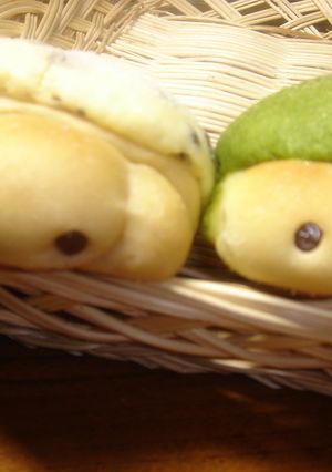 かめさんかめさん-レシピのメイン写真