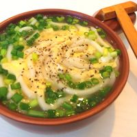 基本からアレンジまで！思わずつくりたくなる「鶏肉 塩 うどん」の