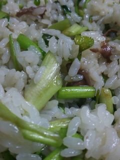 セリとアンチョビの混ぜご飯-レシピのメイン写真