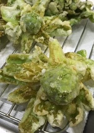 ふきのとうの天ぷら　卵なし-レシピのメイン写真