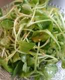 つまみ菜の白ゴマ味噌ドレサラダ