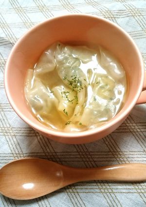 豆腐とほうれん草のワンタン★コンソメ煮-レシピのメイン写真