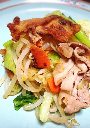 塩糀で絶品肉野菜炒め-レシピのメイン写真