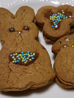 子どもと一緒に♪チョコサンドクッキー-レシピのメイン写真
