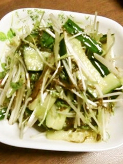 水菜・セロリ・きゅうりの味付け芽かぶあえ-レシピのメイン写真