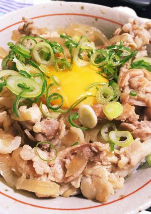 簡単お鍋で豚丼-レシピのメイン写真