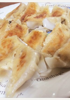 見た目は餃子？！中身は豆腐のヘルシー餃子-レシピのメイン写真
