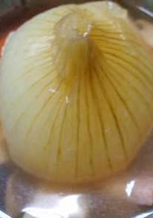 新玉ねぎのホッコリ煮-レシピのメイン写真