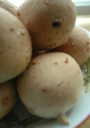 大地の恵み♪全粒粉のプチパン-レシピのメイン写真