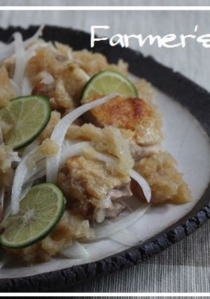 鶏の塩焼き柚子胡椒おろし添え-レシピのメイン写真