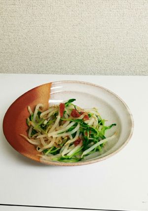 もやしと豆苗の梅かつおサラダ-レシピのメイン写真