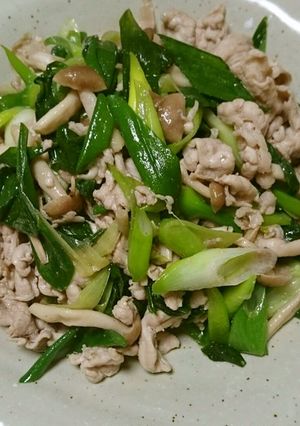 豚肉と九条ネギの塩こしょう炒め-レシピのメイン写真