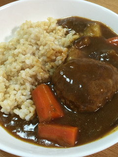 ハンバーグカレー 鍋1枚 パン粉不要-レシピのメイン写真