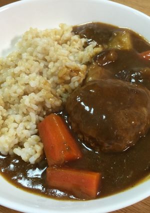 ハンバーグカレー 鍋1枚 パン粉不要-レシピのメイン写真