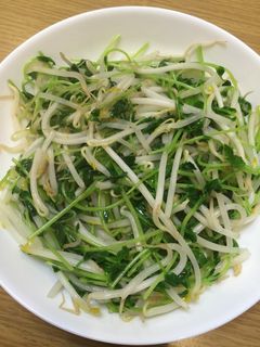 モヤシと豆苗の炒め物-レシピのメイン写真