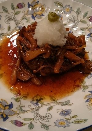 ハンバーグ照り焼きおろしソース-レシピのメイン写真