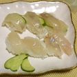 ホウボウの寿司