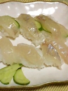 ホウボウの寿司-レシピのメイン写真