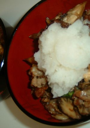 カリカリ豚肉のおろし丼-レシピのメイン写真