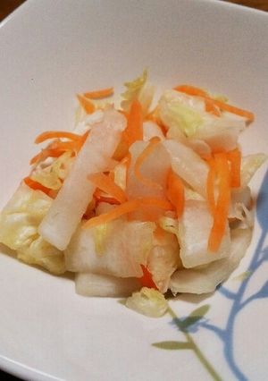 梅こぶ茶で★白菜と人参の浅漬け-レシピのメイン写真