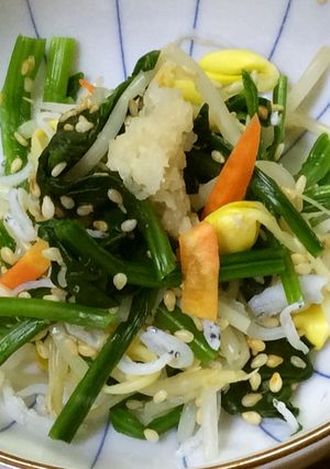 豆もやしとほうれん草の生姜和え-レシピのメイン写真