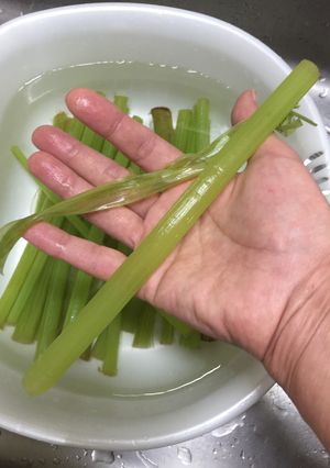 ふきの下ごしらえ&保存（牛乳パック）-レシピのメイン写真
