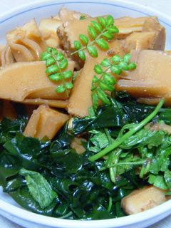日本人がハマる味!圧力鍋でタケノコ土佐煮-レシピのメイン写真